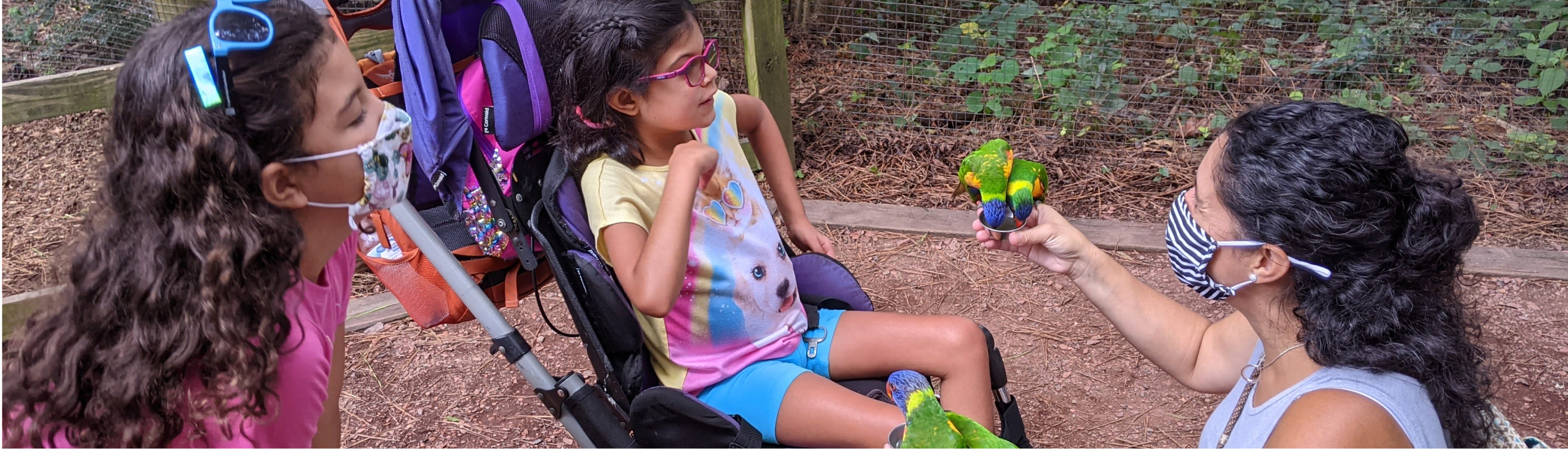 In 2018, we took a road trip through the Midwest